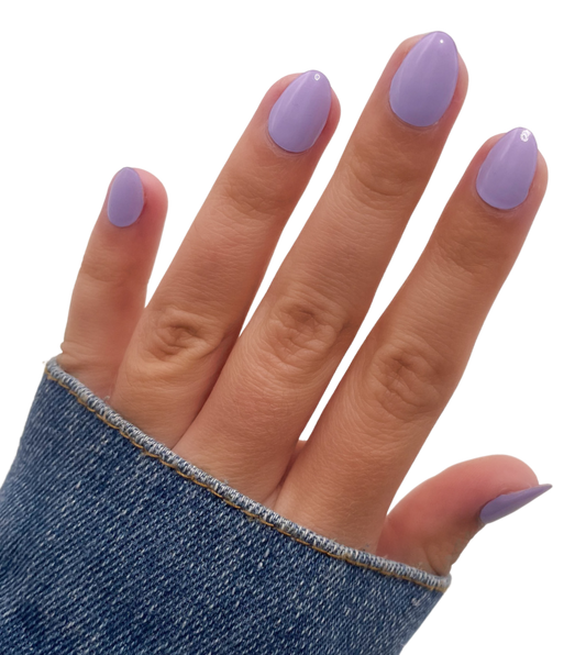 Lovely Lavender