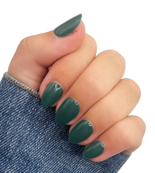 PPGM00168_MajesticPine_SemiCur