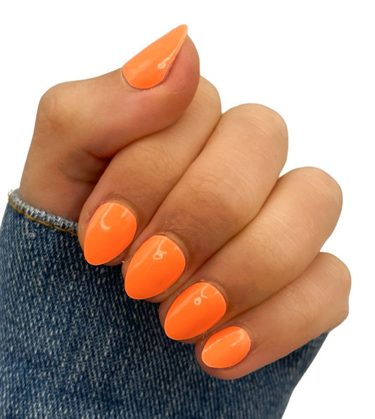 Orange Crush (Starter Kit)