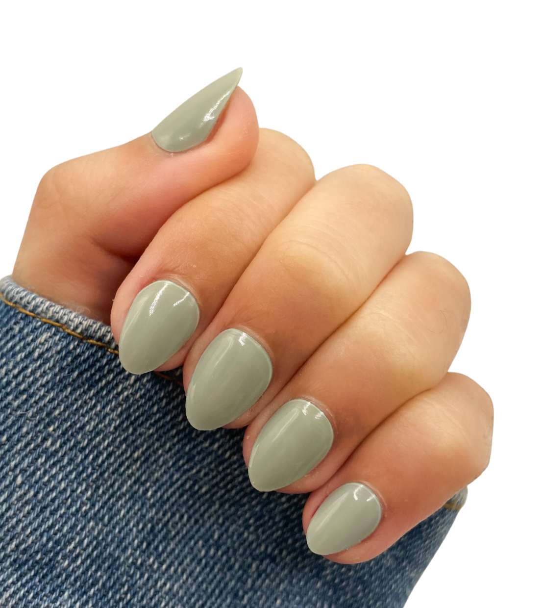 Muted Moss (Starter Kit)