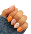 Hello Gourdgeous (Starter Kit)