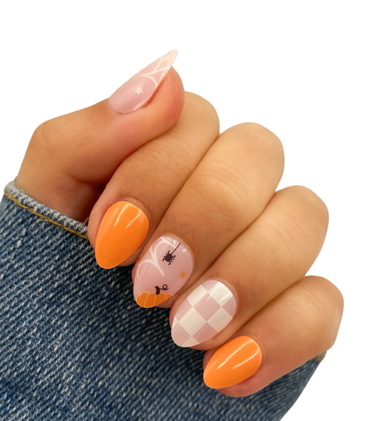 Hello Gourdgeous (Starter Kit)